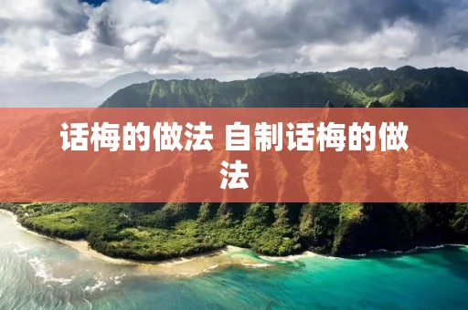 话梅的做法 自制话梅的做法