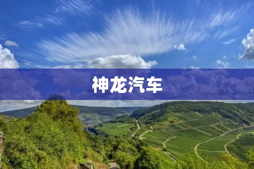 神龙汽车：从品牌起步到全球领先
