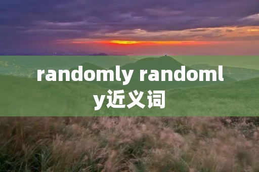 randomly randomly近义词