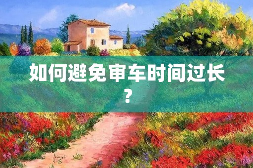 如何避免审车时间过长？