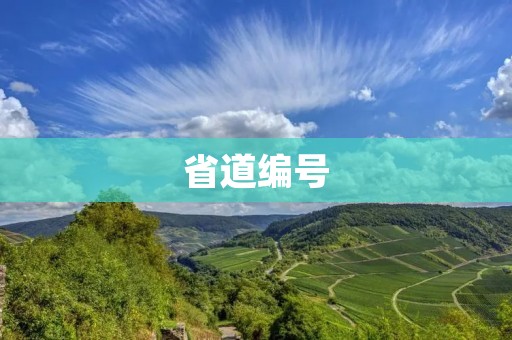 省道编号
