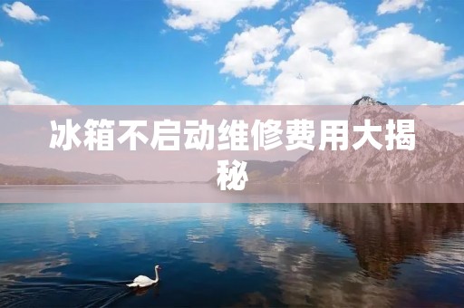 冰箱不启动维修费用大揭秘