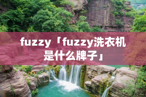 fuzzy「fuzzy洗衣机是什么牌子」