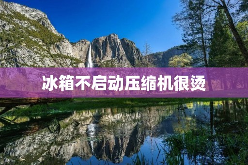 冰箱不启动压缩机很烫:原因与解决方案 冰箱不启动压缩机很烫:原因与解决方案