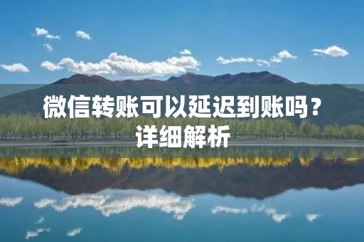 微信转账可以延迟到账吗?详细解析