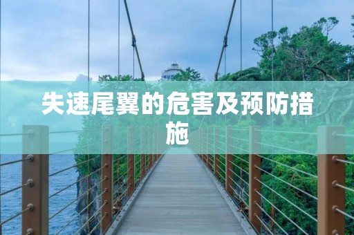 失速尾翼的危害及预防措施
