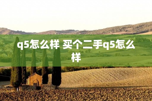 q5怎么样 买个二手q5怎么样 q5怎么样 买个二手q5怎么样