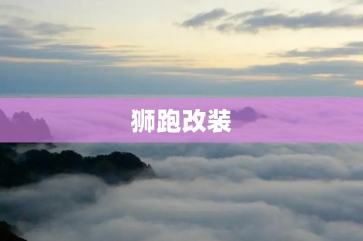 狮跑改装:让你的小伙伴焕然一新 狮跑改装:让你的小伙伴焕然一新
