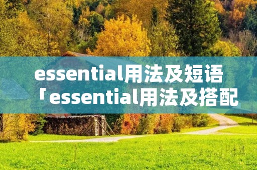 essential用法及短语「essential用法及搭配」