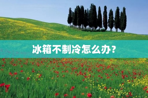 冰箱不制冷怎么办? 冰箱不制冷怎么办?