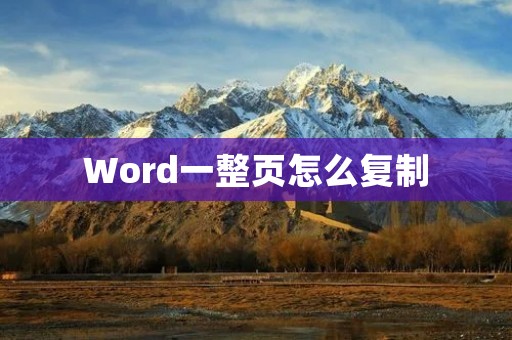 Word一整页怎么复制