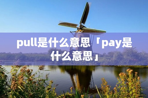 pull是什么意思「pay是什么意思」