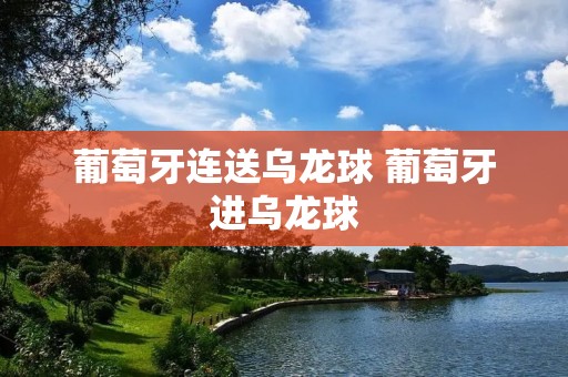 葡萄牙连送乌龙球 葡萄牙进乌龙球