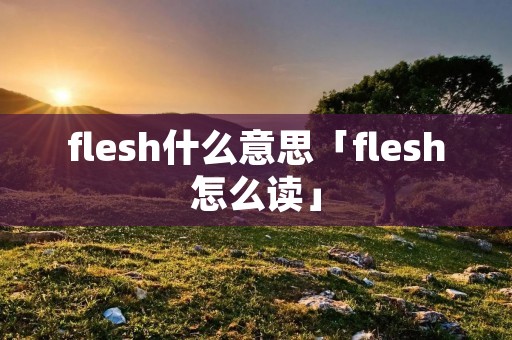 flesh什么意思「flesh怎么读」