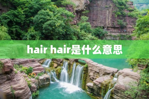 hair hair是什么意思