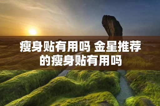 瘦身贴有用吗 金星推荐的瘦身贴有用吗