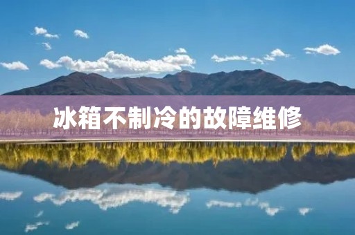 冰箱不制冷的故障维修