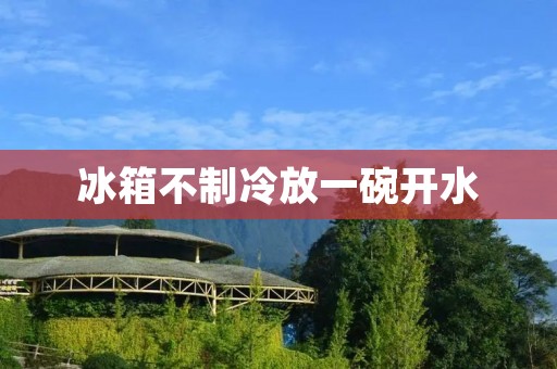 冰箱不制冷放一碗开水:原因及解决方法 冰箱不制冷放一碗开水:原因及解决方法