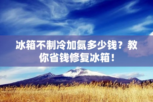 冰箱不制冷加氨多少钱?教你省钱修复冰箱! 冰箱不制冷加氨多少钱?教你省钱修复冰箱!