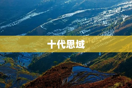 十代思域:跑车的魅力与实用兼备 十代思域:跑车的魅力与实用兼备