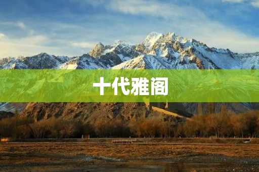 十代雅阁:舒适驾乘与出色性能的完美结合 十代雅阁:舒适驾乘与出色性能的完美结合