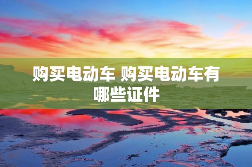 购买电动车 购买电动车有哪些证件 购买电动车 购买电动车有哪些证件