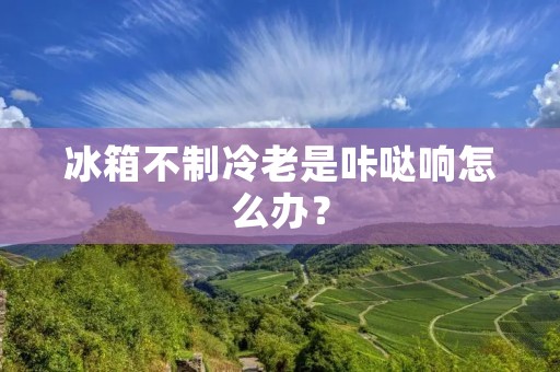 冰箱不制冷老是咔哒响怎么办? 冰箱不制冷老是咔哒响怎么办?