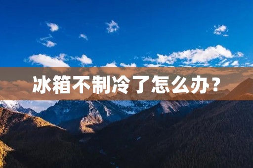 冰箱不制冷了怎么办？