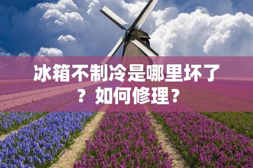 冰箱不制冷是哪里坏了？如何修理？