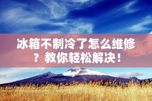 冰箱不制冷了怎么维修?教你轻松解决! 冰箱不制冷了怎么维修?教你轻松解决!