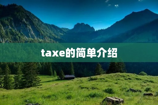 taxe的简单介绍