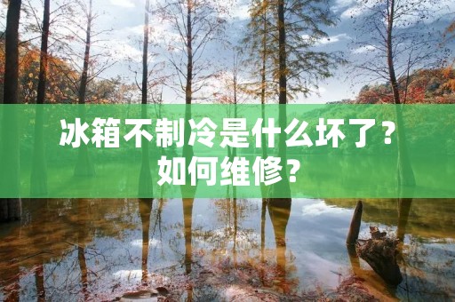 冰箱不制冷是什么坏了?如何维修? 冰箱不制冷是什么坏了?如何维修?