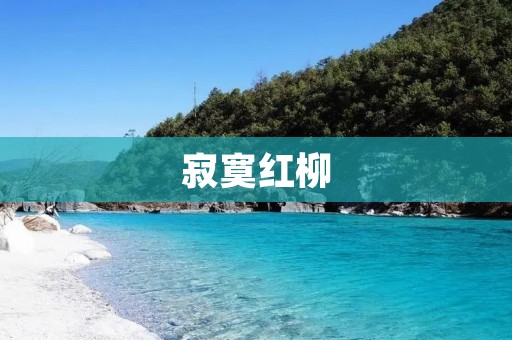 寂寞红柳：一段悲怆的爱情故事