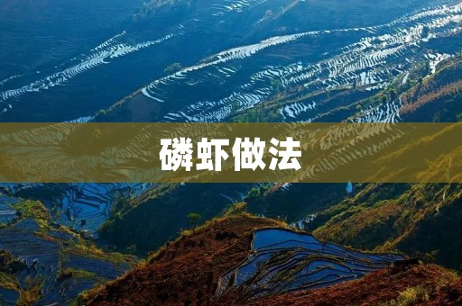 磷虾做法:独特美味的佳肴 磷虾做法:独特美味的佳肴