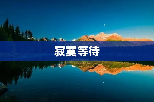 寂寞等待：一段孤独的旅程