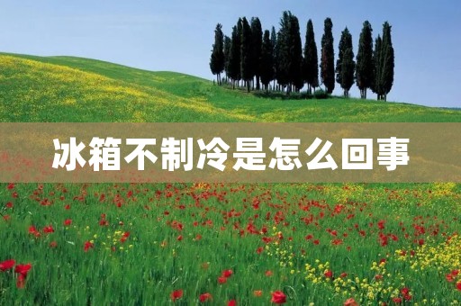 冰箱不制冷是怎么回事