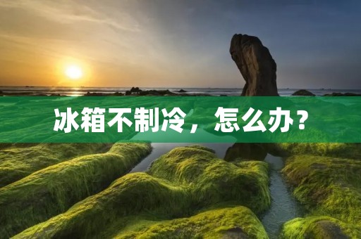 冰箱不制冷,怎么办? 冰箱不制冷,怎么办?