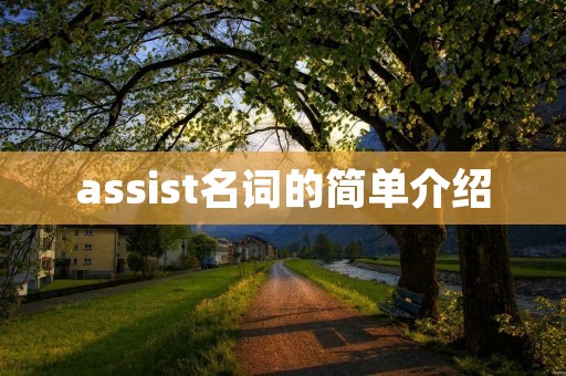 assist名词的简单介绍