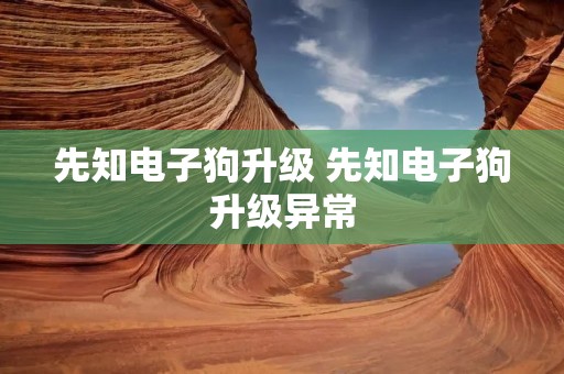 先知电子狗升级 先知电子狗升级异常 先知电子狗升级 先知电子狗升级异常
