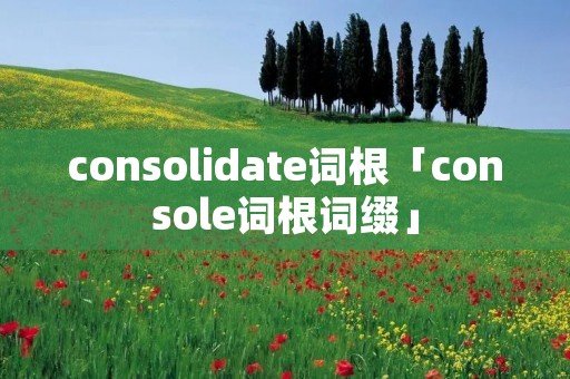 consolidate词根「console词根词缀」