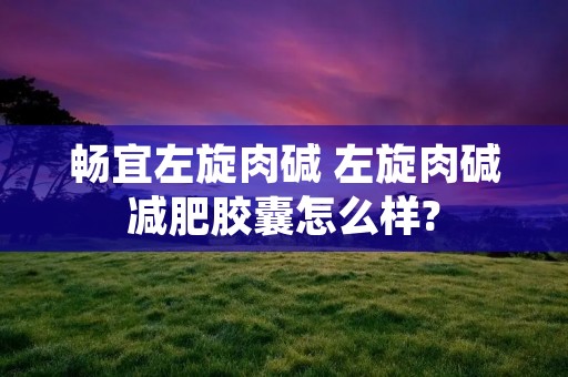 畅宜左旋肉碱 左旋肉碱减肥胶囊怎么样?