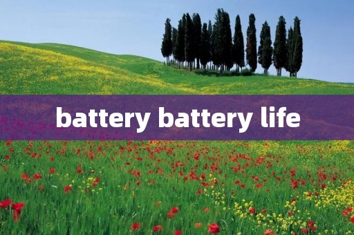 battery battery life