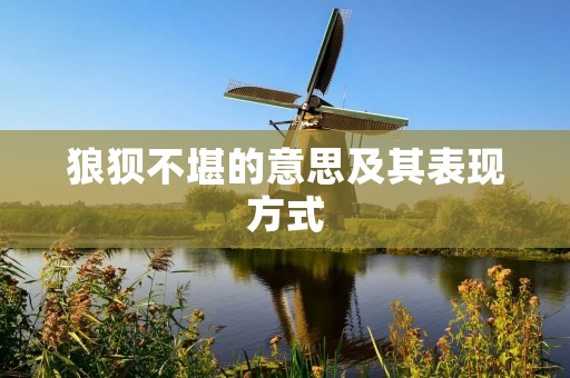 狼狈不堪的意思及其表现方式
