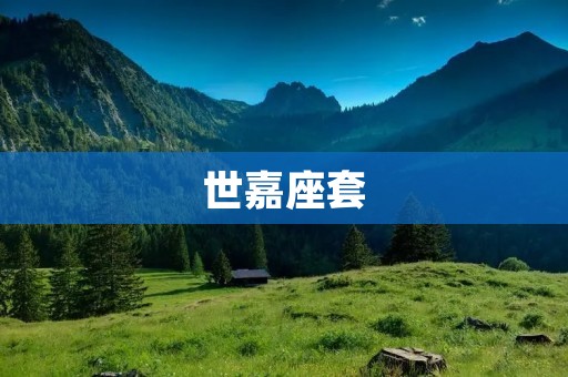 世嘉座套：让游戏世界更加真实