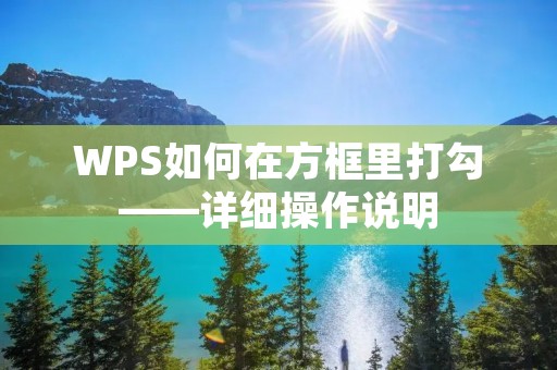 WPS如何在方框里打勾——详细操作说明