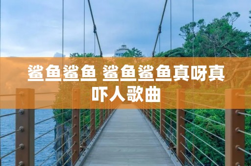 鲨鱼鲨鱼 鲨鱼鲨鱼真呀真吓人歌曲 鲨鱼鲨鱼 鲨鱼鲨鱼真呀真吓人歌曲
