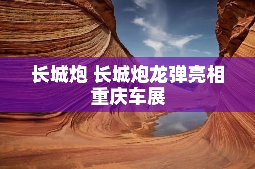长城炮 长城炮龙弹亮相重庆车展
