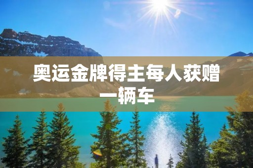 奥运金牌得主每人获赠一辆车