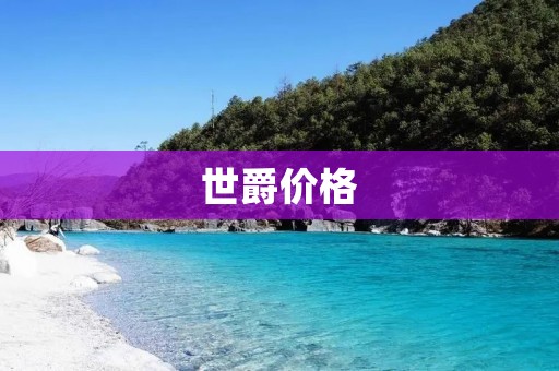 世爵价格:奢华品质的代价 世爵价格:奢华品质的代价