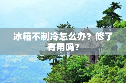 冰箱不制冷怎么办?修了有用吗? 冰箱不制冷怎么办?修了有用吗?